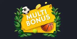 Roobet Casino 100% Bonus of Accumulator